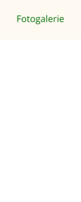 Fotogalerie